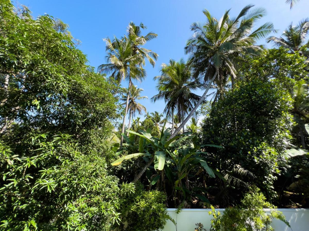 Villa Ema Galle Bagian luar foto