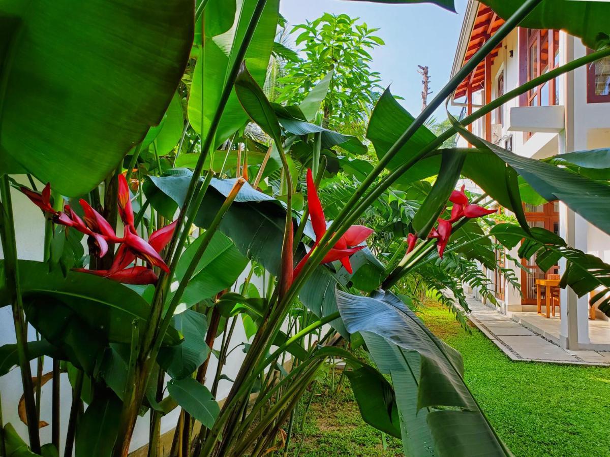 Villa Ema Galle Bagian luar foto